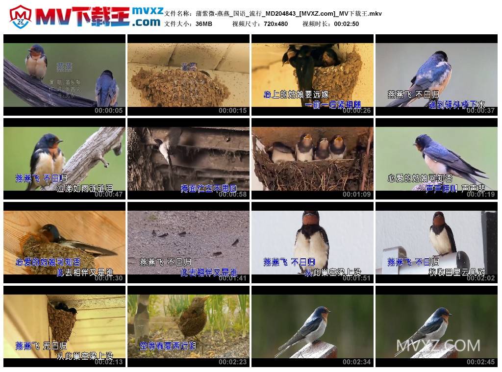 蒲紫微-燕燕_国语_流行_MD204843